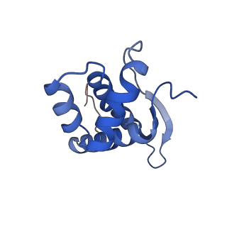 11710_7abz_N_v1-1
Structure of pre-accomodated trans-translation complex on E. coli stalled ribosome.