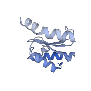 11710_7abz_O_v1-1
Structure of pre-accomodated trans-translation complex on E. coli stalled ribosome.