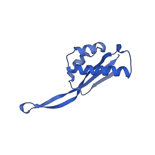 11710_7abz_S_v1-1
Structure of pre-accomodated trans-translation complex on E. coli stalled ribosome.