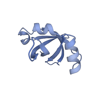 11710_7abz_V_v1-1
Structure of pre-accomodated trans-translation complex on E. coli stalled ribosome.