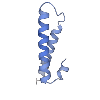 11710_7abz_Y_v1-1
Structure of pre-accomodated trans-translation complex on E. coli stalled ribosome.