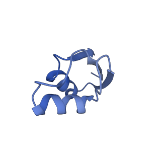 11710_7abz_Z_v1-1
Structure of pre-accomodated trans-translation complex on E. coli stalled ribosome.