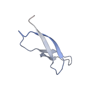 11710_7abz_c_v1-1
Structure of pre-accomodated trans-translation complex on E. coli stalled ribosome.