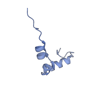 11710_7abz_d_v1-1
Structure of pre-accomodated trans-translation complex on E. coli stalled ribosome.