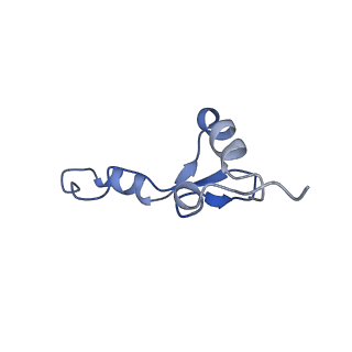 11710_7abz_e_v1-1
Structure of pre-accomodated trans-translation complex on E. coli stalled ribosome.