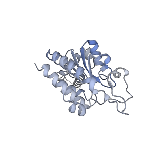 11710_7abz_g_v1-1
Structure of pre-accomodated trans-translation complex on E. coli stalled ribosome.