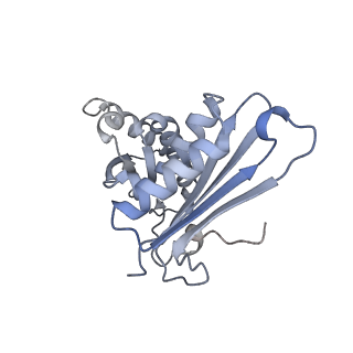 11710_7abz_h_v1-1
Structure of pre-accomodated trans-translation complex on E. coli stalled ribosome.