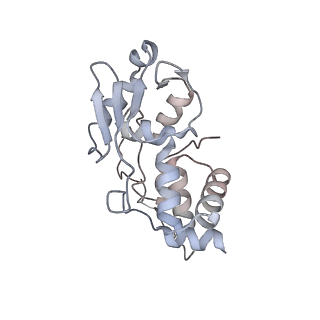 11710_7abz_i_v1-1
Structure of pre-accomodated trans-translation complex on E. coli stalled ribosome.