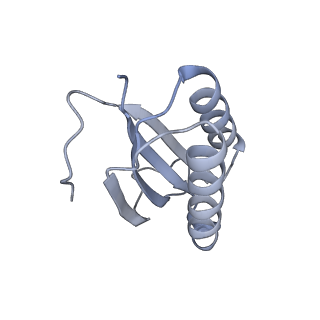 11710_7abz_k_v1-1
Structure of pre-accomodated trans-translation complex on E. coli stalled ribosome.