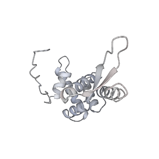 11710_7abz_l_v1-1
Structure of pre-accomodated trans-translation complex on E. coli stalled ribosome.
