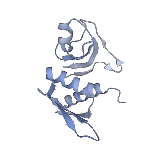 11710_7abz_m_v1-1
Structure of pre-accomodated trans-translation complex on E. coli stalled ribosome.