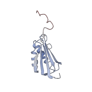 11710_7abz_p_v1-1
Structure of pre-accomodated trans-translation complex on E. coli stalled ribosome.