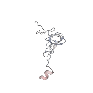 11710_7abz_q_v1-1
Structure of pre-accomodated trans-translation complex on E. coli stalled ribosome.