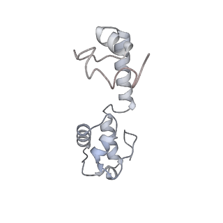 11710_7abz_r_v1-1
Structure of pre-accomodated trans-translation complex on E. coli stalled ribosome.