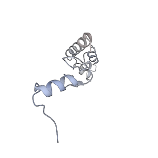 11710_7abz_s_v1-1
Structure of pre-accomodated trans-translation complex on E. coli stalled ribosome.