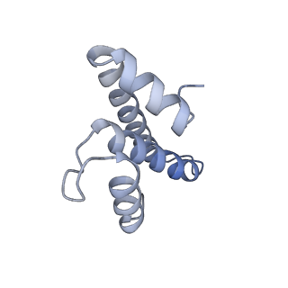 11710_7abz_t_v1-1
Structure of pre-accomodated trans-translation complex on E. coli stalled ribosome.