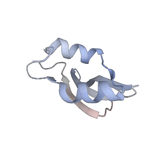 11710_7abz_u_v1-1
Structure of pre-accomodated trans-translation complex on E. coli stalled ribosome.