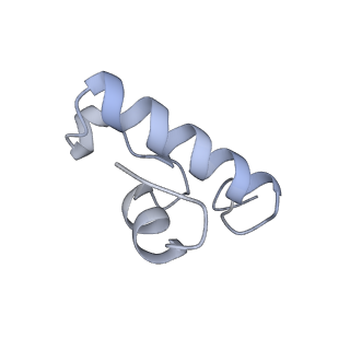 11710_7abz_w_v1-1
Structure of pre-accomodated trans-translation complex on E. coli stalled ribosome.