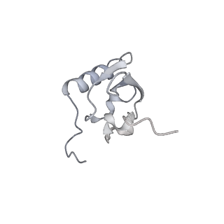 11710_7abz_x_v1-1
Structure of pre-accomodated trans-translation complex on E. coli stalled ribosome.