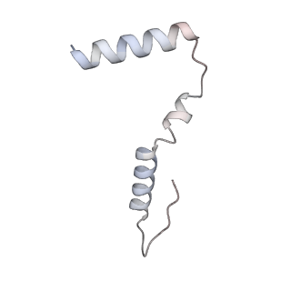 11710_7abz_z_v1-1
Structure of pre-accomodated trans-translation complex on E. coli stalled ribosome.