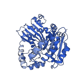 15313_8ab7_A_v1-1
Complex III2 from Yarrowia lipolytica, atovaquone and antimycin A bound