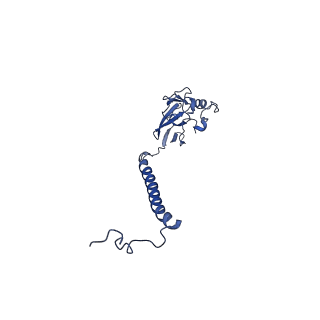 15313_8ab7_E_v1-1
Complex III2 from Yarrowia lipolytica, atovaquone and antimycin A bound
