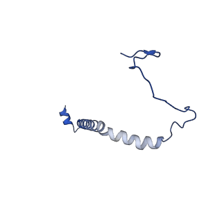 15313_8ab7_H_v1-1
Complex III2 from Yarrowia lipolytica, atovaquone and antimycin A bound