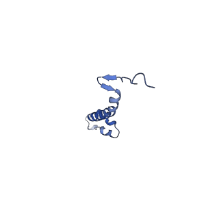 15313_8ab7_J_v1-1
Complex III2 from Yarrowia lipolytica, atovaquone and antimycin A bound