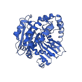 15313_8ab7_L_v1-1
Complex III2 from Yarrowia lipolytica, atovaquone and antimycin A bound