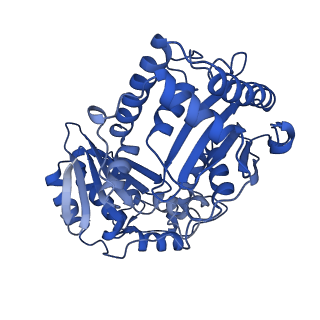 15313_8ab7_M_v1-1
Complex III2 from Yarrowia lipolytica, atovaquone and antimycin A bound