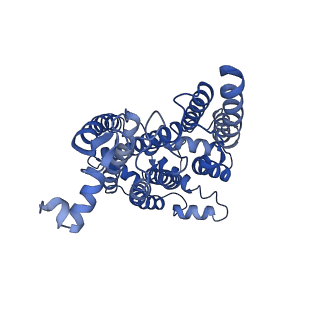 15313_8ab7_N_v1-1
Complex III2 from Yarrowia lipolytica, atovaquone and antimycin A bound