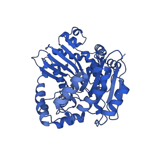 15321_8abh_A_v1-1
Complex III2 from Yarrowia lipolytica, antimycin A bound, b-position