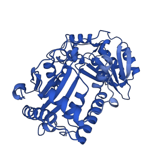15321_8abh_B_v1-1
Complex III2 from Yarrowia lipolytica, antimycin A bound, b-position