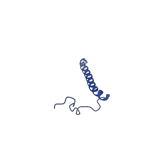 15321_8abh_E_v1-1
Complex III2 from Yarrowia lipolytica, antimycin A bound, b-position
