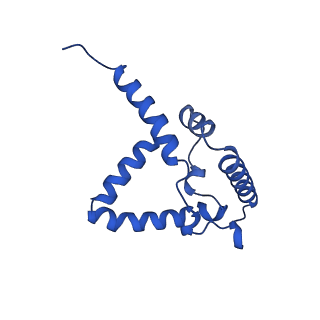 15321_8abh_G_v1-1
Complex III2 from Yarrowia lipolytica, antimycin A bound, b-position