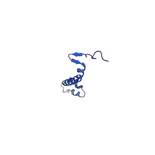 15321_8abh_J_v1-1
Complex III2 from Yarrowia lipolytica, antimycin A bound, b-position