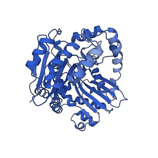 15321_8abh_L_v1-1
Complex III2 from Yarrowia lipolytica, antimycin A bound, b-position