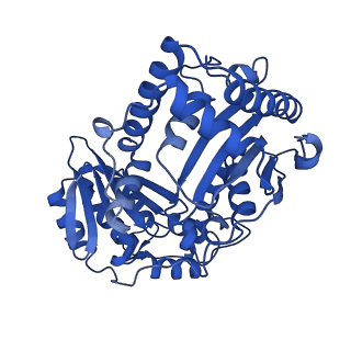 15321_8abh_M_v1-1
Complex III2 from Yarrowia lipolytica, antimycin A bound, b-position