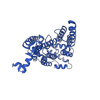 15321_8abh_N_v1-1
Complex III2 from Yarrowia lipolytica, antimycin A bound, b-position