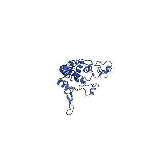 15321_8abh_O_v1-1
Complex III2 from Yarrowia lipolytica, antimycin A bound, b-position