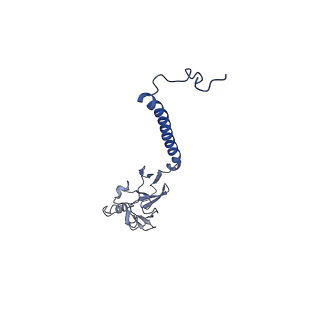15321_8abh_P_v1-1
Complex III2 from Yarrowia lipolytica, antimycin A bound, b-position