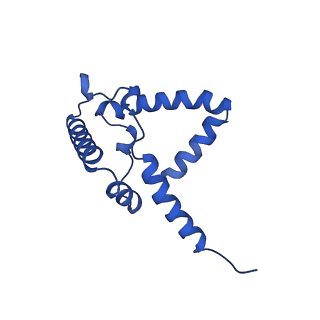 15321_8abh_R_v1-1
Complex III2 from Yarrowia lipolytica, antimycin A bound, b-position