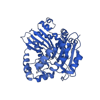 15322_8abi_A_v1-1
Complex III2 from Yarrowia lipolytica,antimycin A bound, int-position