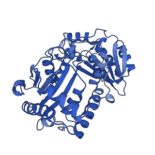 15322_8abi_B_v1-1
Complex III2 from Yarrowia lipolytica,antimycin A bound, int-position