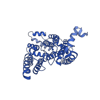15322_8abi_C_v1-1
Complex III2 from Yarrowia lipolytica,antimycin A bound, int-position