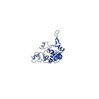 15322_8abi_D_v1-1
Complex III2 from Yarrowia lipolytica,antimycin A bound, int-position