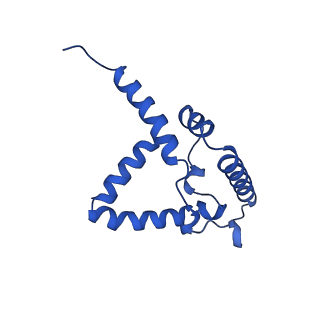 15322_8abi_G_v1-1
Complex III2 from Yarrowia lipolytica,antimycin A bound, int-position