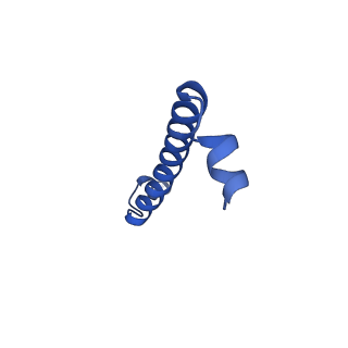 15322_8abi_I_v1-1
Complex III2 from Yarrowia lipolytica,antimycin A bound, int-position