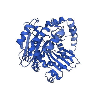 15322_8abi_L_v1-1
Complex III2 from Yarrowia lipolytica,antimycin A bound, int-position