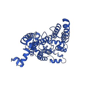 15322_8abi_N_v1-1
Complex III2 from Yarrowia lipolytica,antimycin A bound, int-position